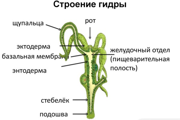 Kra43.cc Вход на сайт главная страница