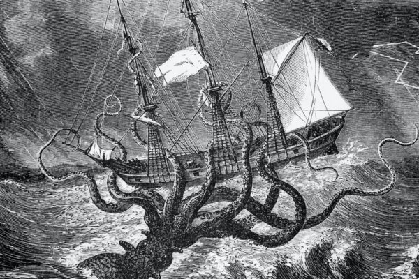Kraken kraken link24 info