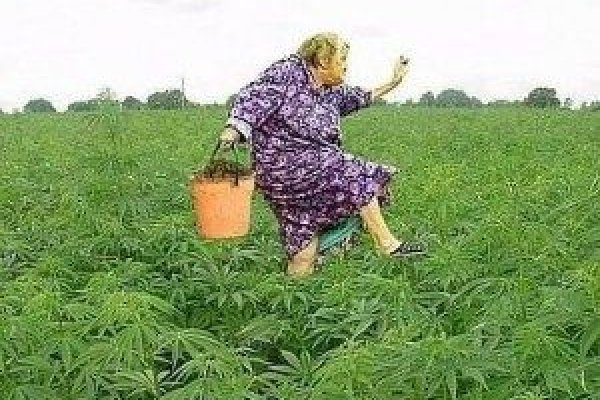 Зайти на кракен